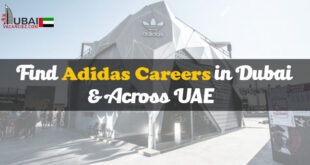 Adidas Careers