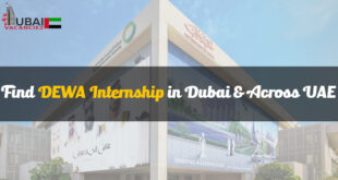 DEWA Internship