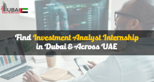 Investment Analyst Internship