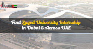 Zayed University Internship